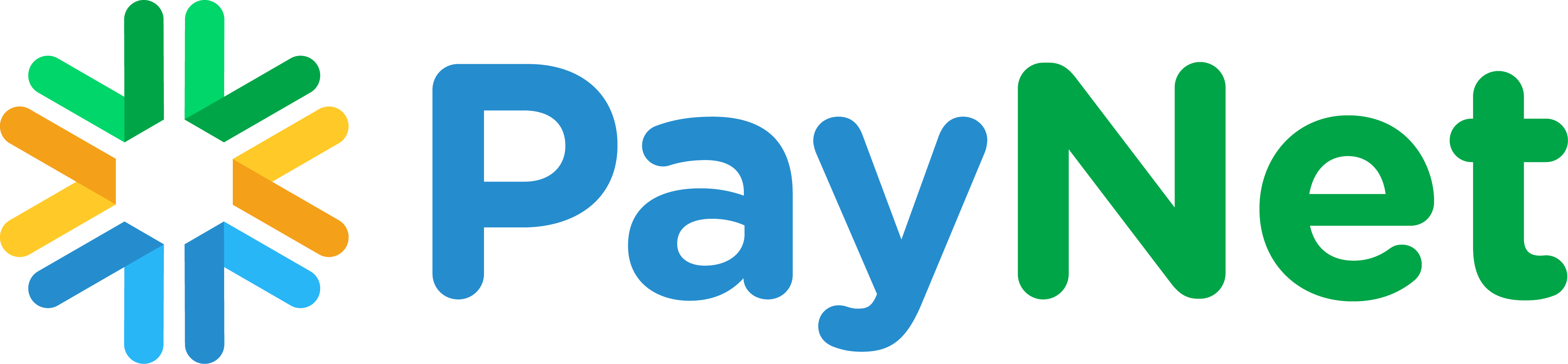 01 PayNet Logo CLR